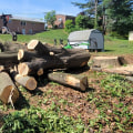 Tree And Stump Removal Services: What Timber Frame House Owners In Groveland Need To Know