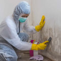 Choosing The Right Professionals For Mold Removal In Your Utah County Timber Frame House