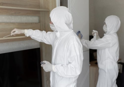 Why Mold Remediation Is Crucial For Timber Frame Homes In Philadelphia