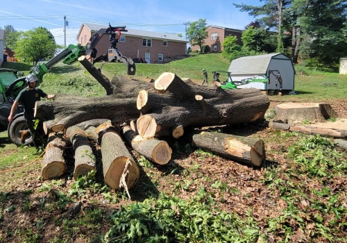 Tree And Stump Removal Services: What Timber Frame House Owners In Groveland Need To Know