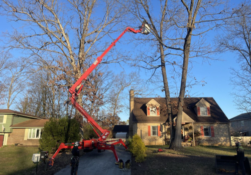 Enjoy A Hassle-free Autumn With Weekly Leaf Removal Services For Timber Frame Houses In Northern Virginia